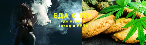 гидра Богородск