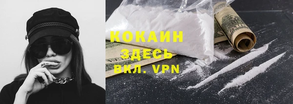 гидра Богородск