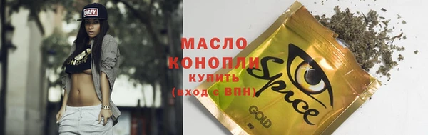 гидра Богородск