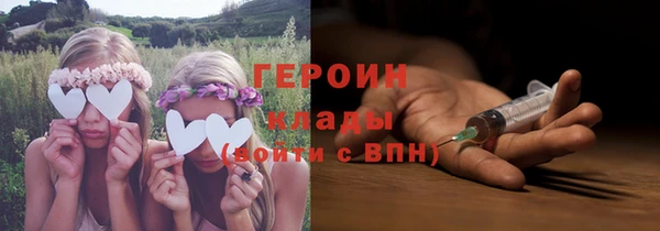 гидра Богородск