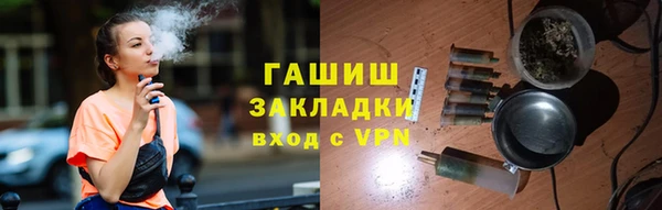 гидра Богородск