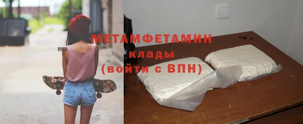 гидра Богородск