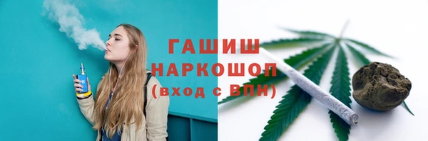 гидра Богородск