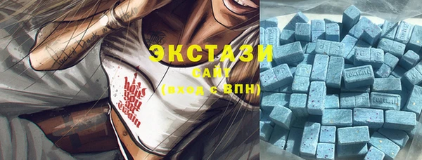 гидра Богородск