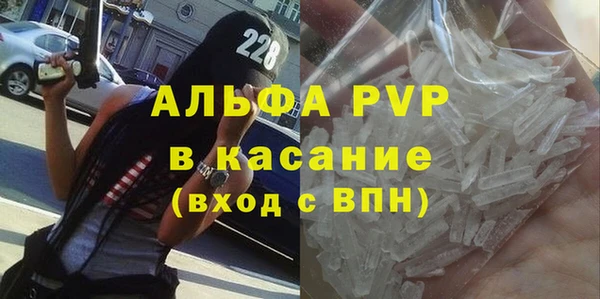 гидра Богородск