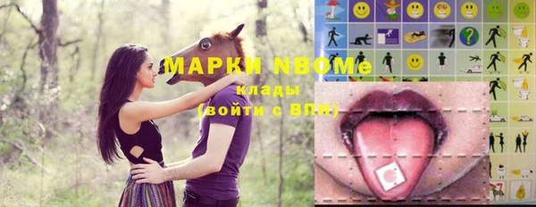 прущие грибы Всеволожск