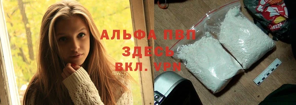 гидра Богородск