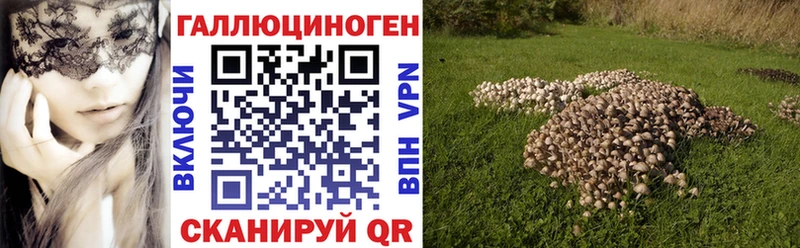 mega   где купить   Гатчина  Галлюциногенные грибы Magic Shrooms 