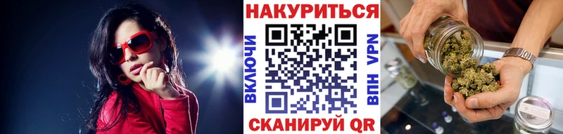 продажа наркотиков  Гатчина  Шишки марихуана сатива 